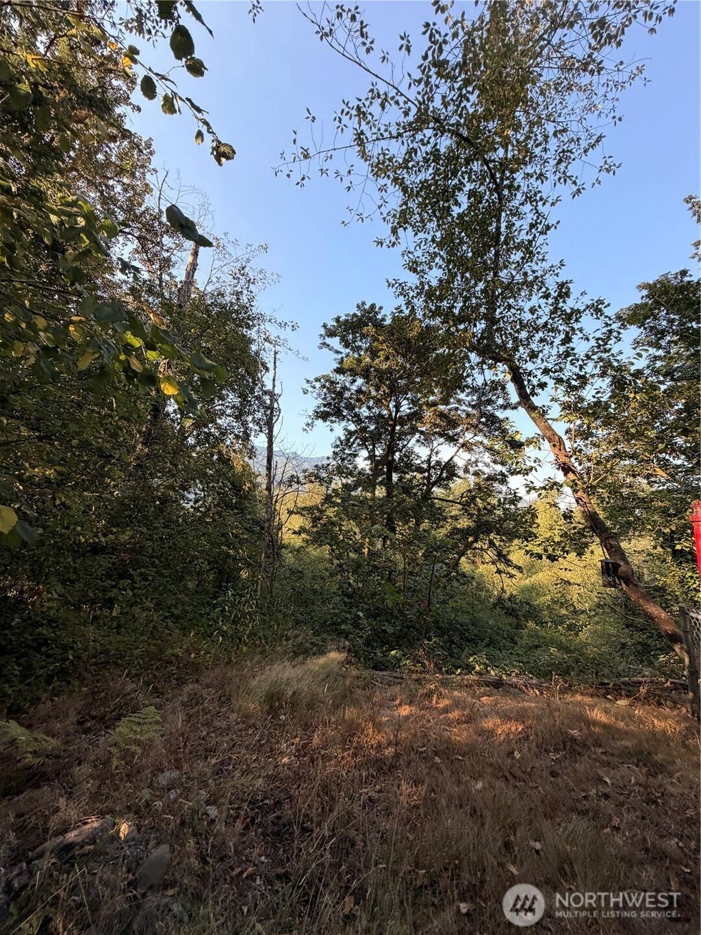 Photo of 15620 Goldbar Drive, Gold Bar, WA 98251 (MLS # 2572583)