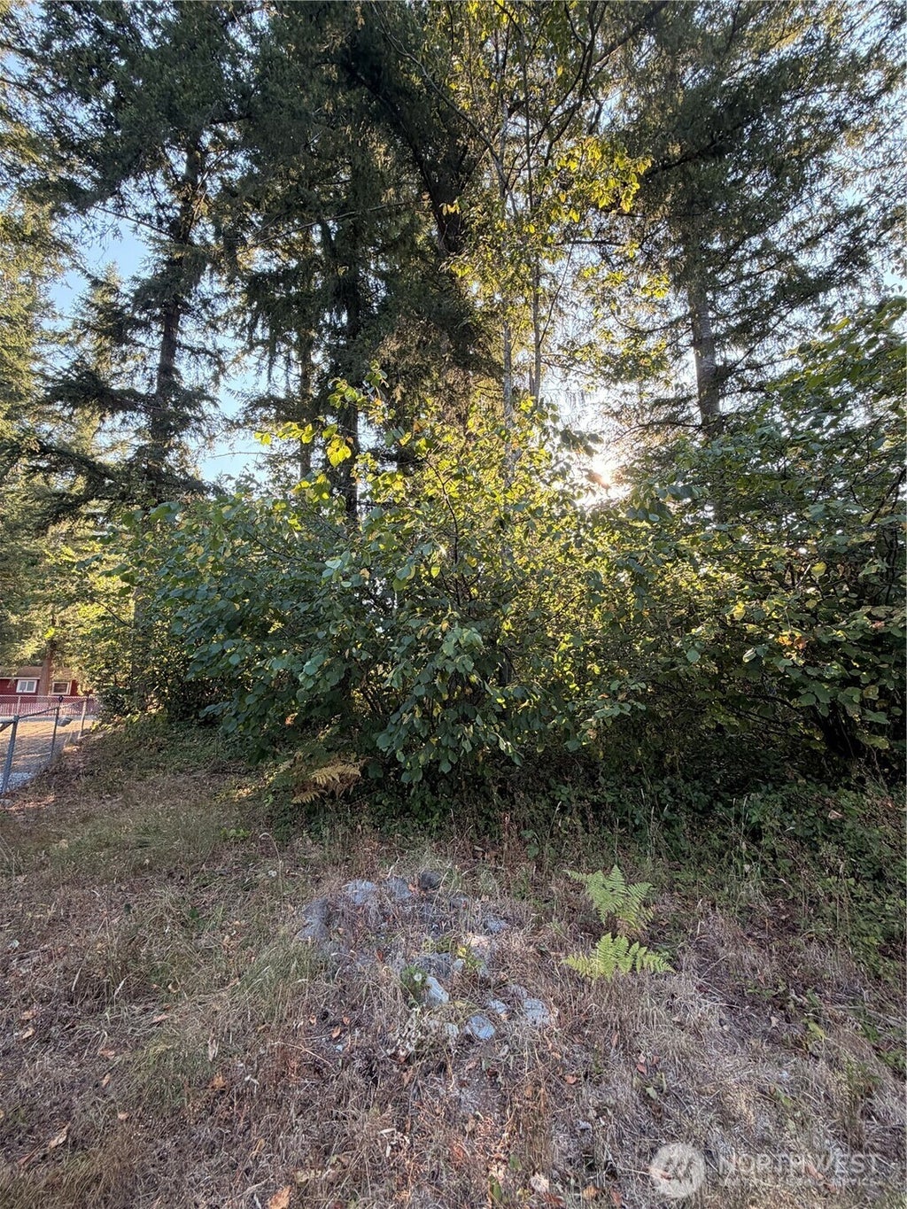 Photo of 15620 Goldbar Drive, Gold Bar, WA 98251 (MLS # 2572583)