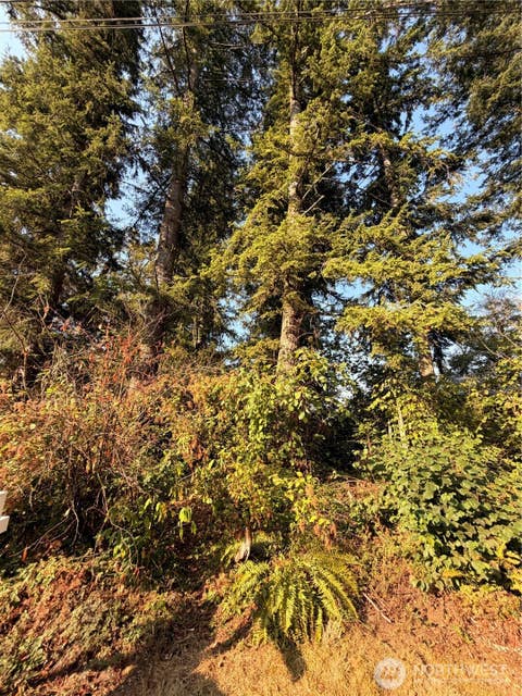 Photo of 15620 Goldbar Drive, Gold Bar, WA 98251 (MLS # 2572583)
