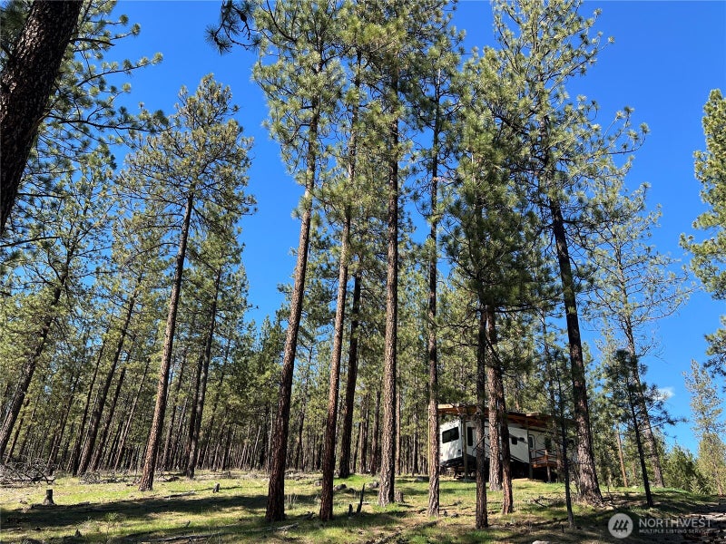 1069 Kitt Narcisse Road