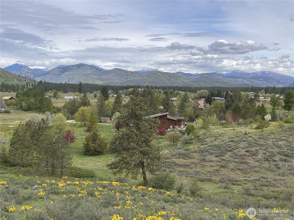 Photo of 35 Snowberry Lane, Winthrop, WA 98862 (MLS # 2504495)