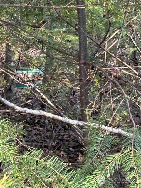 9 E Nightingale Place