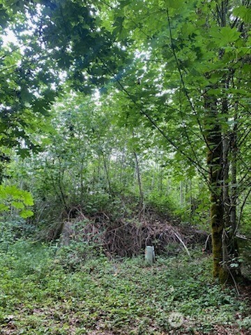 9 E Nightingale Place