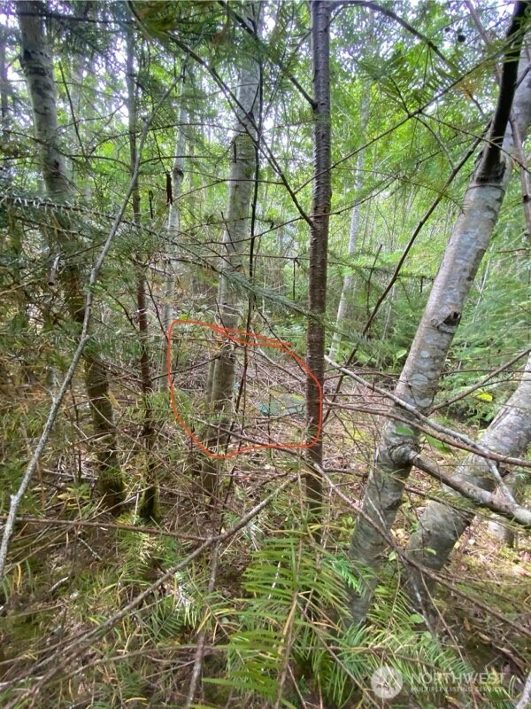 9 E Nightingale Place