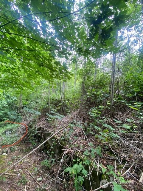 9 E Nightingale Place Belfair WA 98528