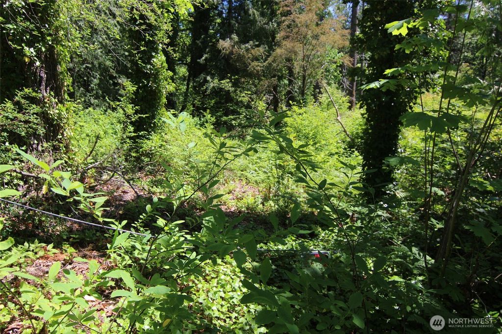 Photo of 70017 NE Old Cascade Highway, Skykomish, WA 98288 (MLS # 2341650)