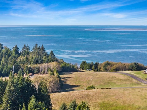 Photo of 75 Gunnar Lane, South Bend, WA 98586 (MLS # 2597681)