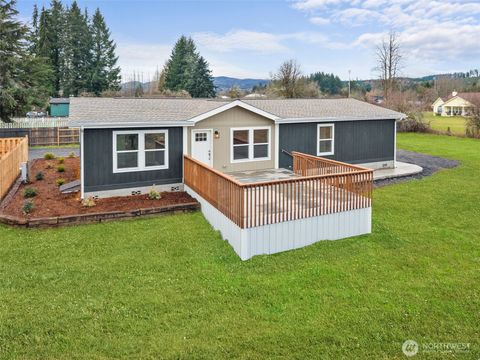 Photo of 909 N 1ST Street, Pe Ell, WA 98572 (MLS # 2494047)