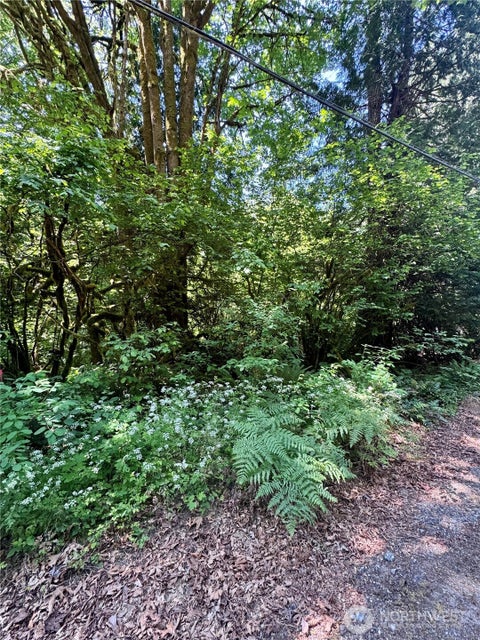 Photo of 12014 126th Avenue NW, Gig Harbor, WA 98329 (MLS # 2544132)