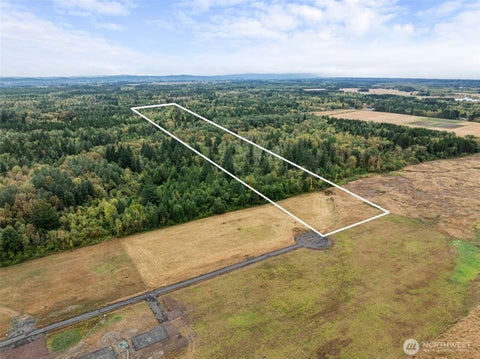 Photo of 137 Jenny Kay Lane, Ethel, WA 98542 (MLS # 2576462)