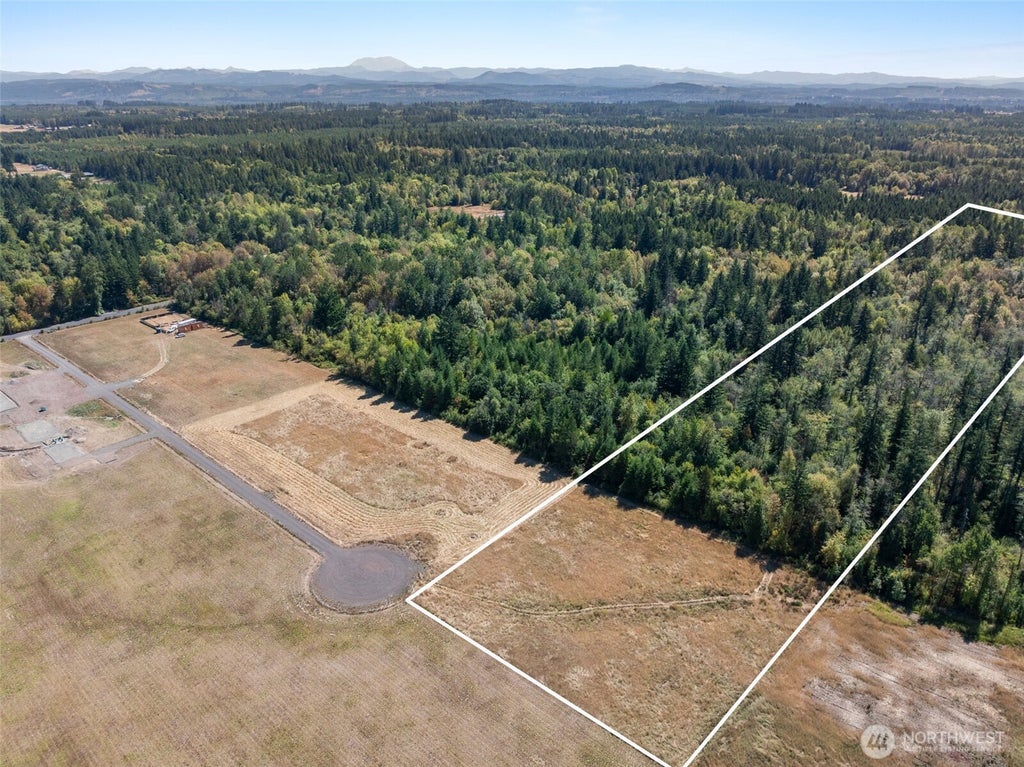 Photo of 137 Jenny Kay Lane, Ethel, WA 98542 (MLS # 2576462)