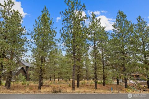 Photo of 351 Southern Star Lane, Cle Elum, WA 98922 (MLS # 2451329)