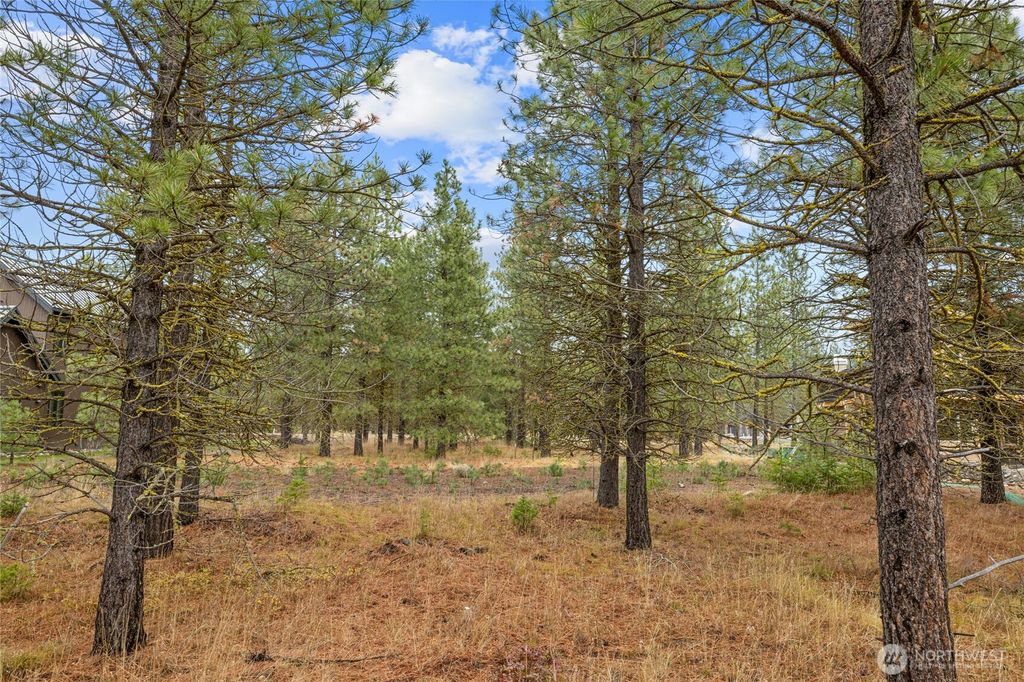 Photo of 351 Southern Star Lane, Cle Elum, WA 98922 (MLS # 2451329)