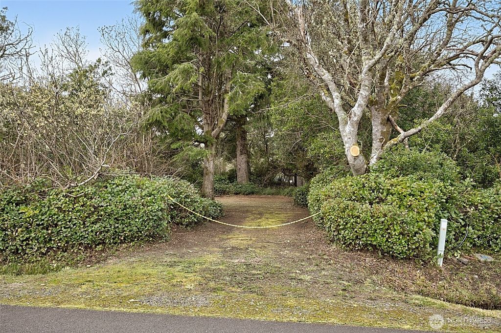 Photo of 189 S Narwhal Loop SW, Ocean Shores, WA 98569 (MLS # 2499203)