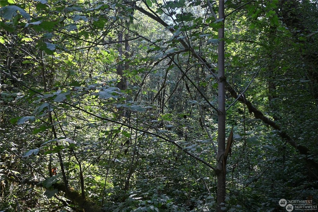 Photo of 10212 Foss River Place, Skykomish, WA 98288 (MLS # 2307202)