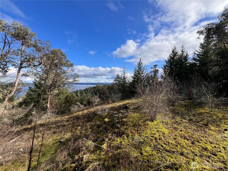 59 Moose Mountain Road