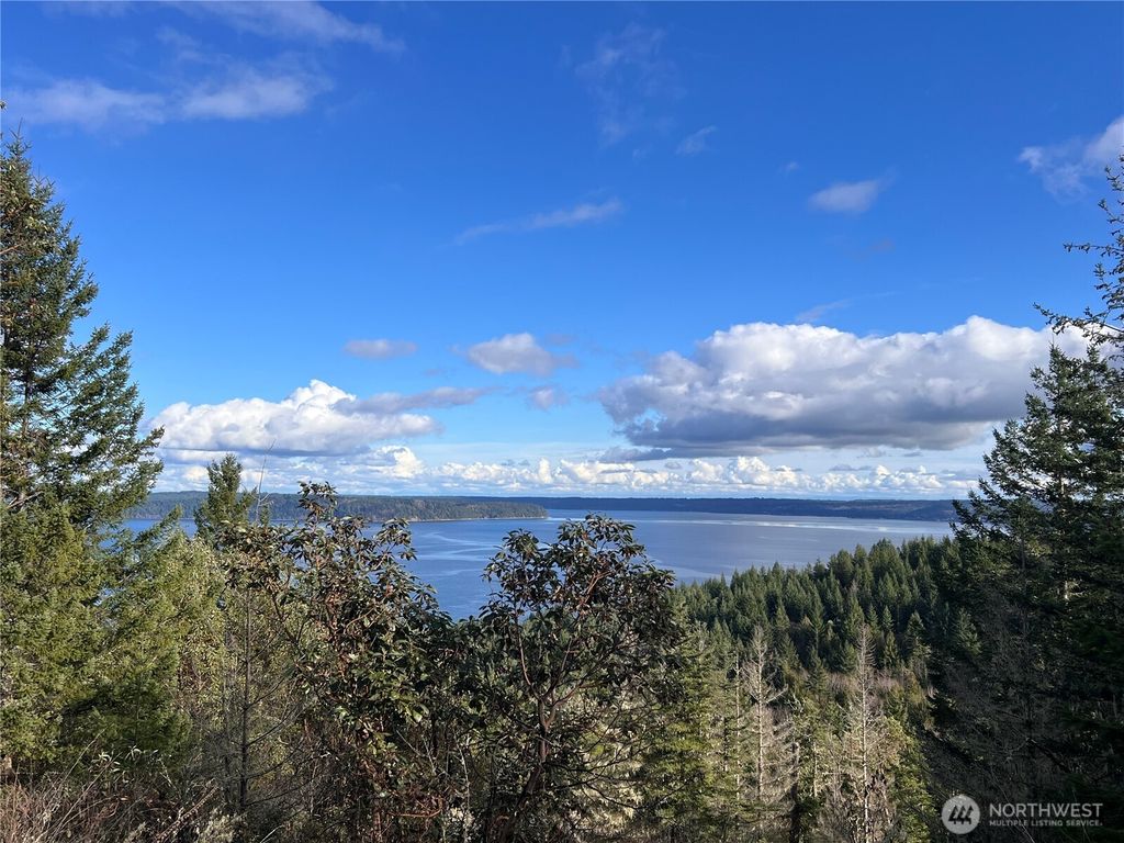 Photo of 59 X Moose Mountain Road, Brinnon, WA 98320 (MLS # 2489509)