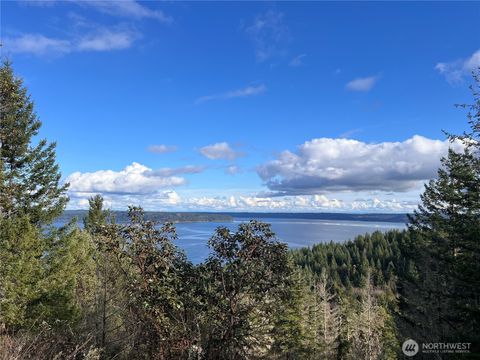 Photo of 59 X Moose Mountain Road, Brinnon, WA 98320 (MLS # 2489509)