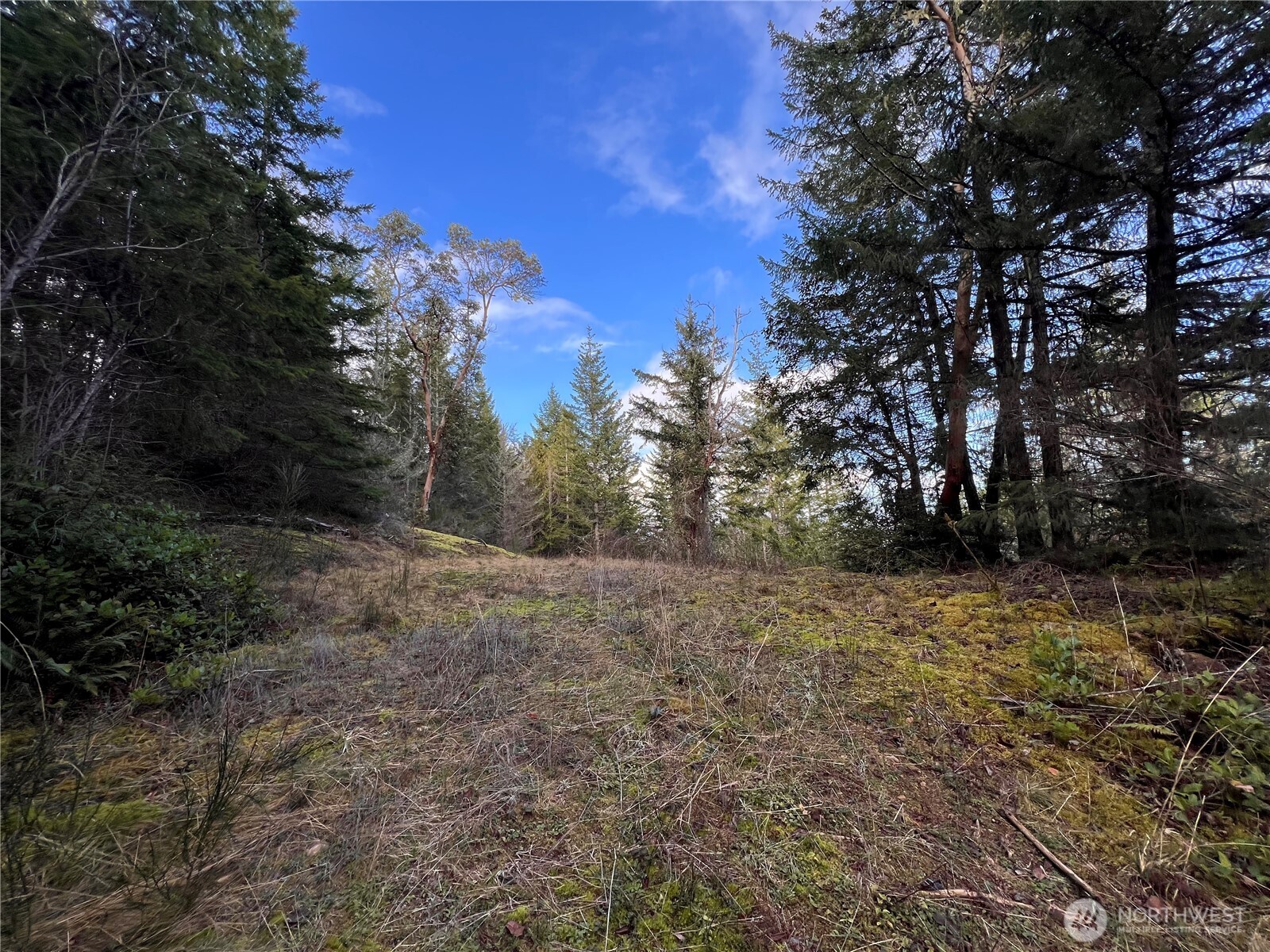 59 Moose Mountain Road