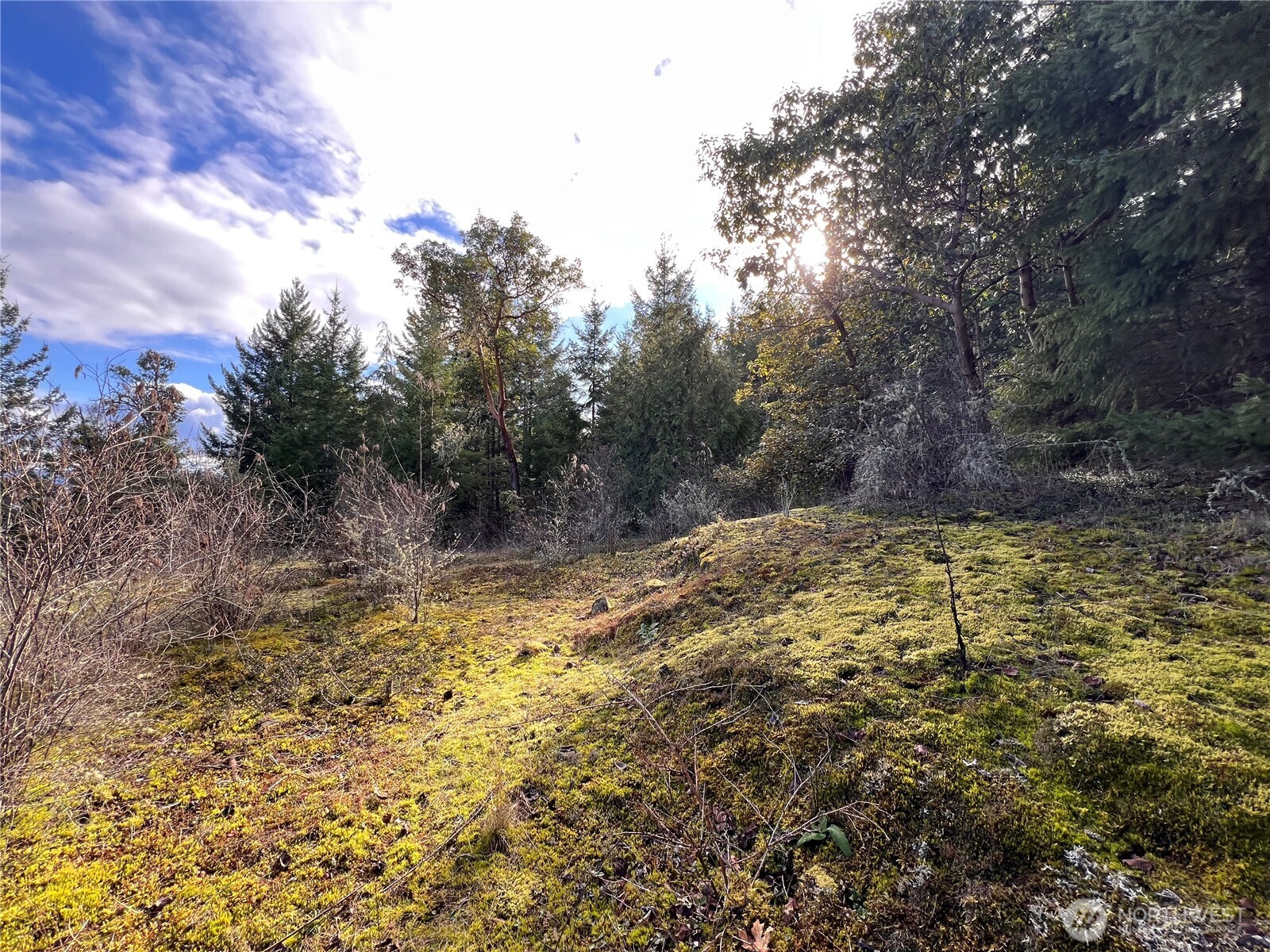 59 Moose Mountain Road