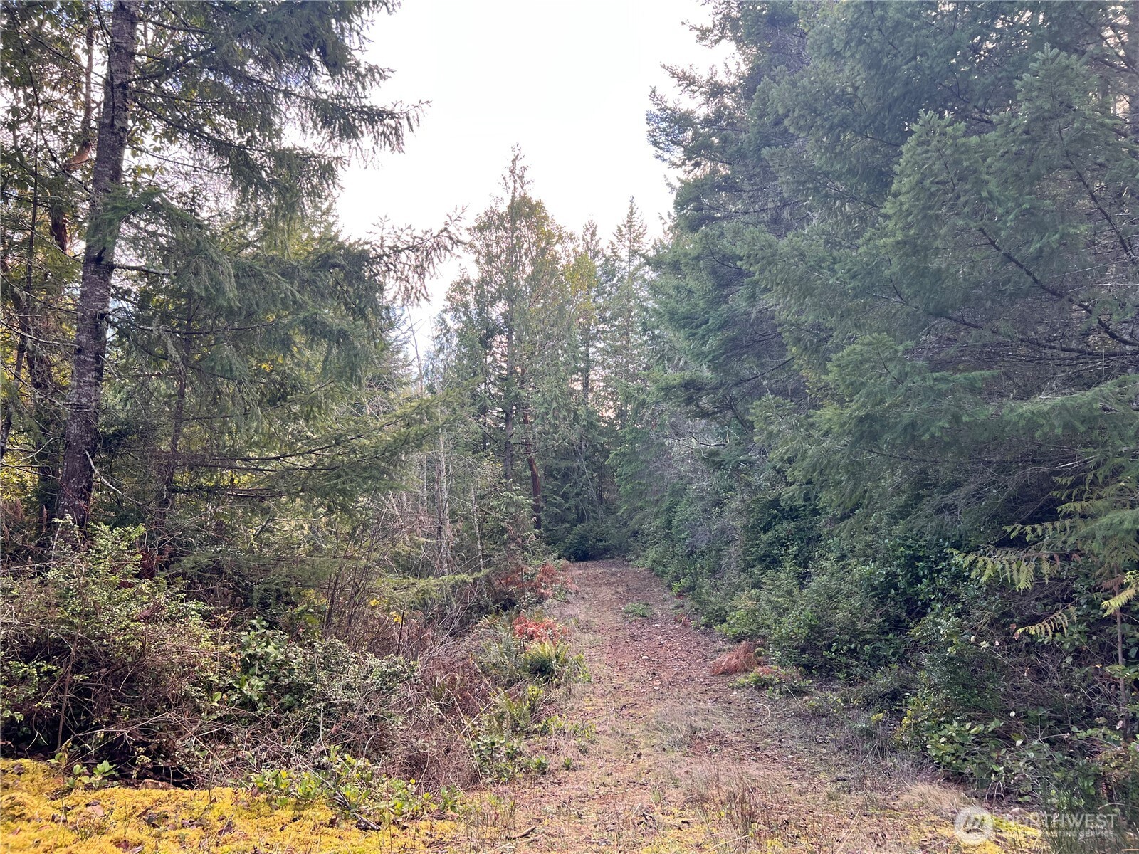 59 Moose Mountain Road