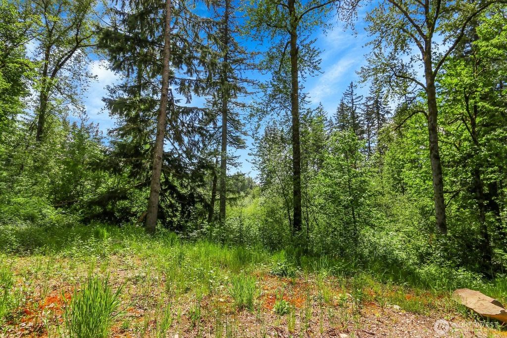 Photo of 33805 NE Lake Joy Road, Carnation, WA 98014 (MLS # 2379758)