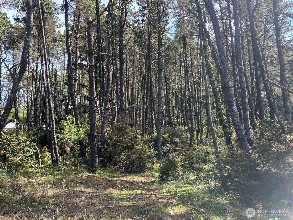 Photo of 1101 Lot E 231st Lane, Ocean Park, WA 98640 (MLS # 2460156)