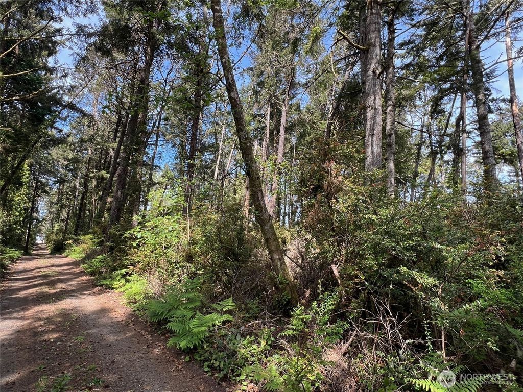 Photo of 1101 Lot E 231st Lane, Ocean Park, WA 98640 (MLS # 2460156)