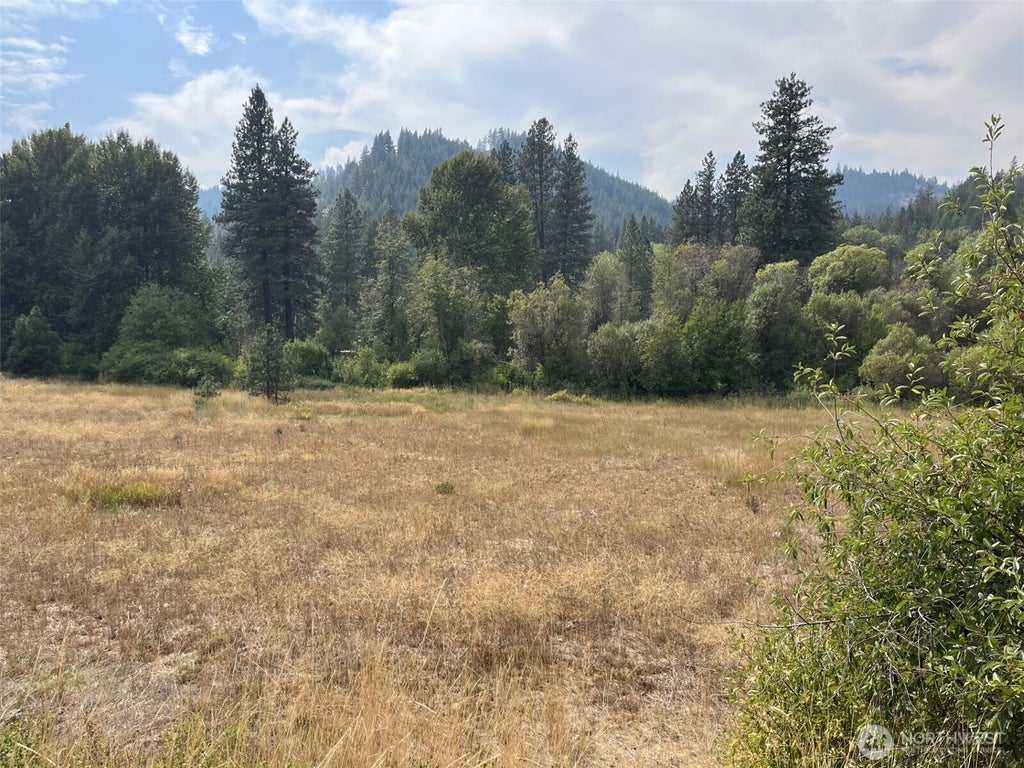 Photo of 76 Hinthorne Lane Ln, Leavenworth, WA 98826 (MLS # 2575492)