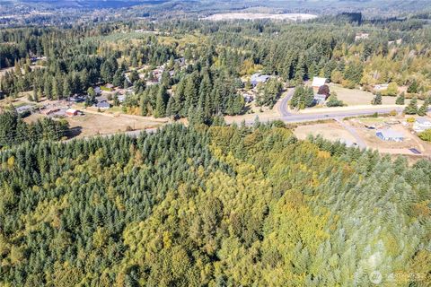 0 Spirit Lake Highway Castle Rock WA 98611