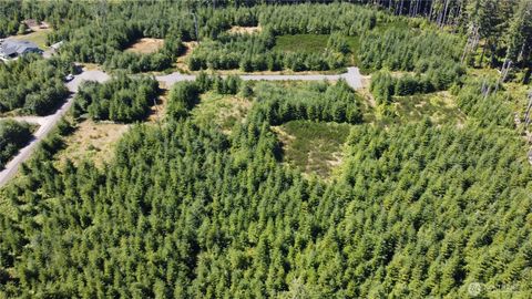 Photo of 9999 King Johns-Lot 2 Crow SP Way, Forks, WA 98331 (MLS # 2436946)
