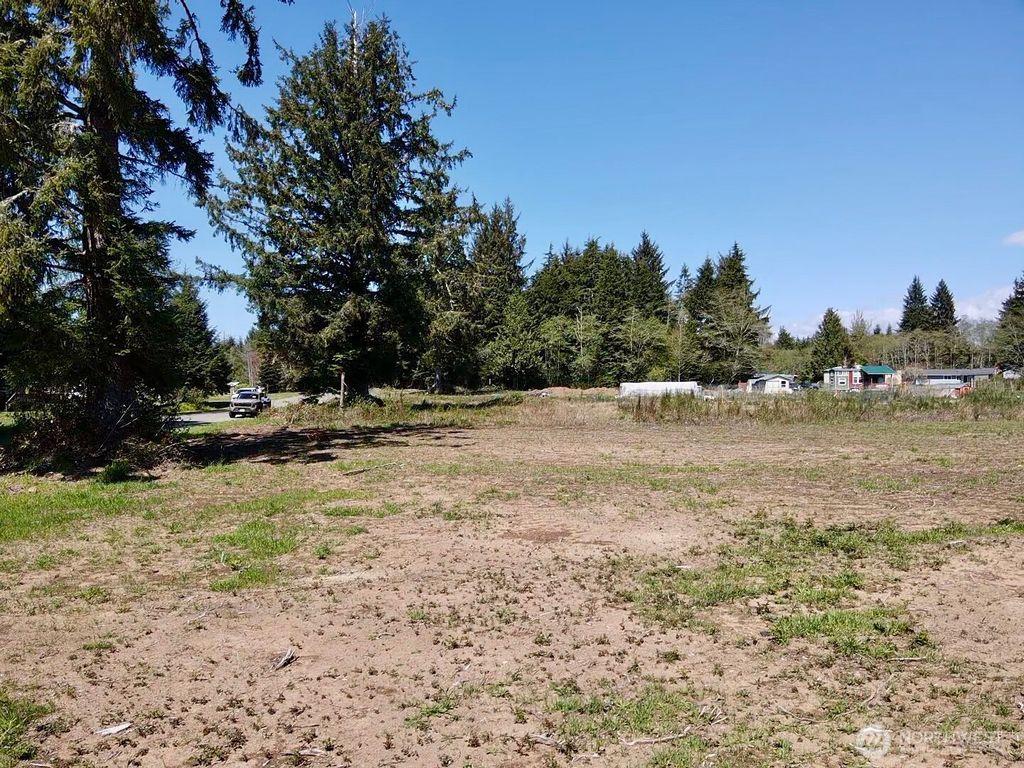 Photo of 81 XXX Plum Street, Aberdeen, WA 98569 (MLS # 2513604)