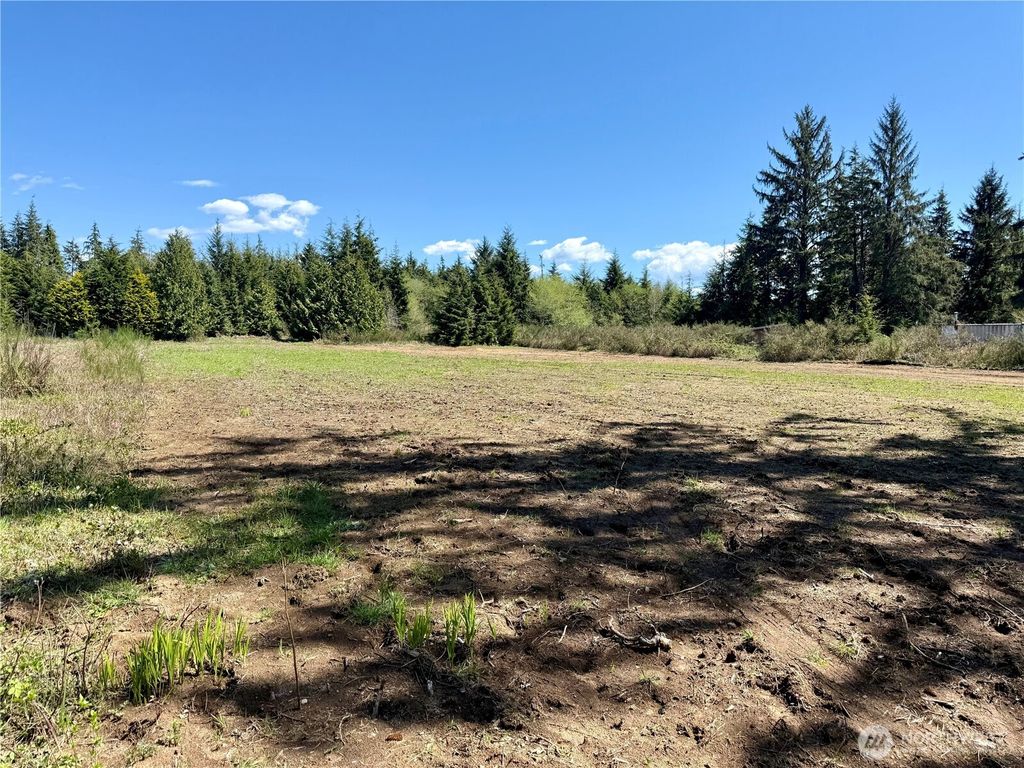 Photo of 81 XXX Plum Street, Aberdeen, WA 98569 (MLS # 2513604)