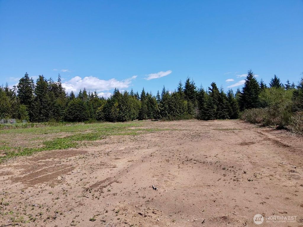 Photo of 81 XXX Plum Street, Aberdeen, WA 98569 (MLS # 2513604)