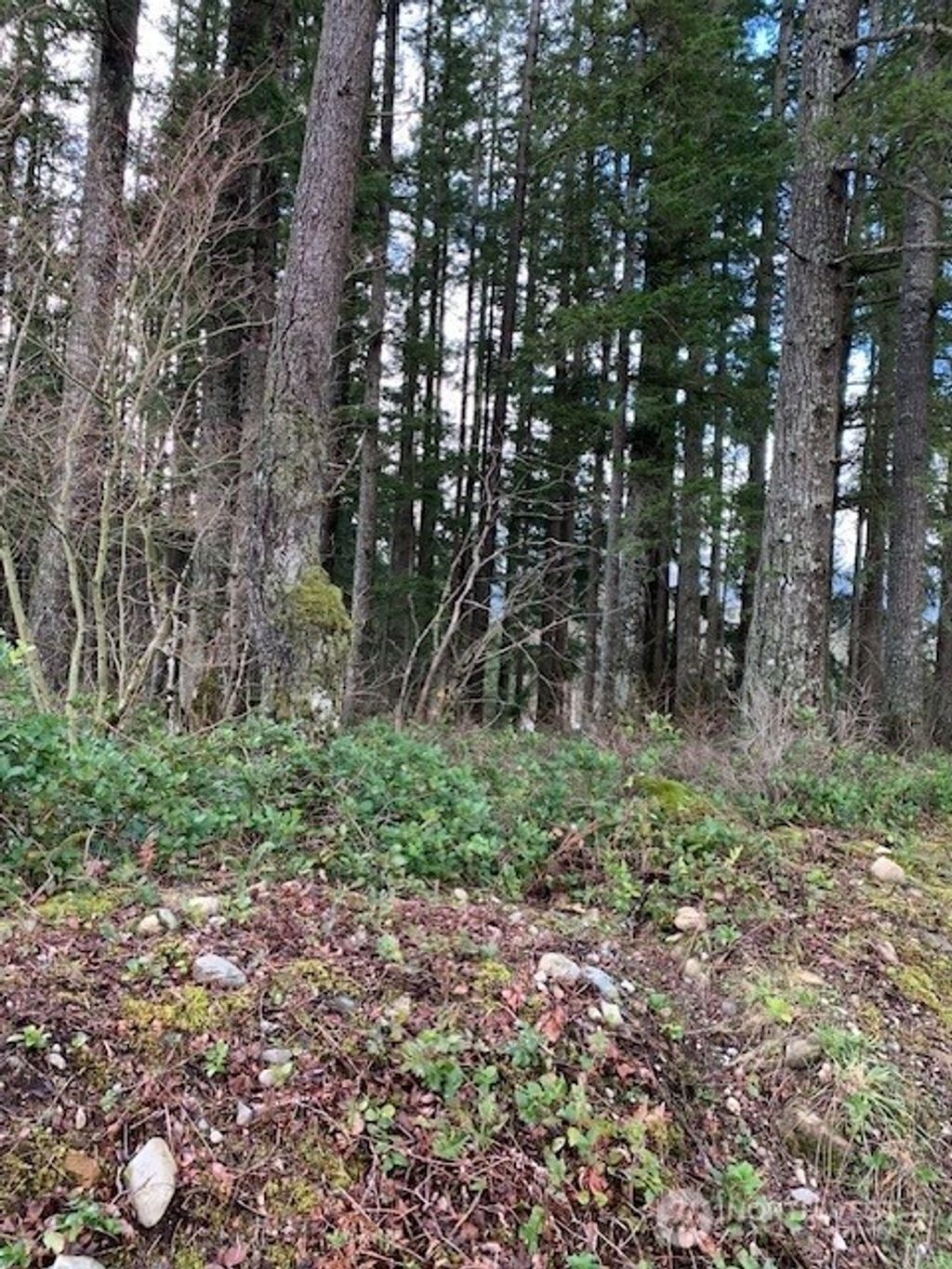 Photo of 450 xx SE North Bend Way, North Bend, WA 98045 (MLS # 2409186)