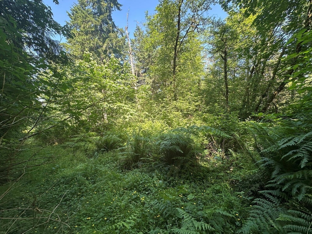 Photo of 44 Acres McCary Road SW, Bremerton, WA 98312 (MLS # 2597493)
