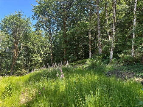 Photo of 44 Acres McCary Road SW, Bremerton, WA 98312 (MLS # 2597493)