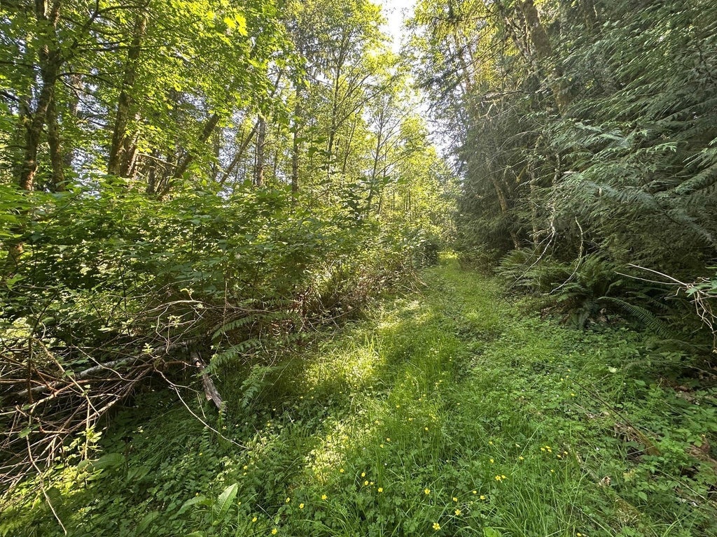 Photo of 44 Acres McCary Road SW, Bremerton, WA 98312 (MLS # 2597493)