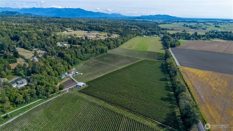 Photo of 15860 Colony Road, Bow, WA 98232 (MLS # 2584509)