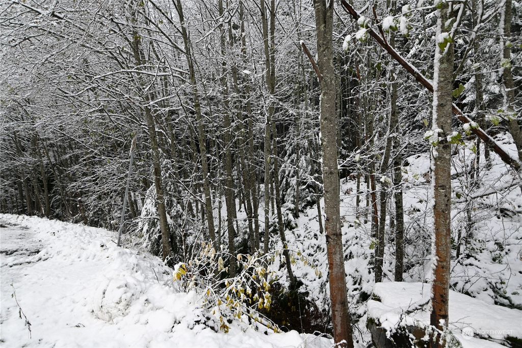 Photo of 87446 NE Old Cascade Highway, Skykomish, WA 98288 (MLS # 2311557)