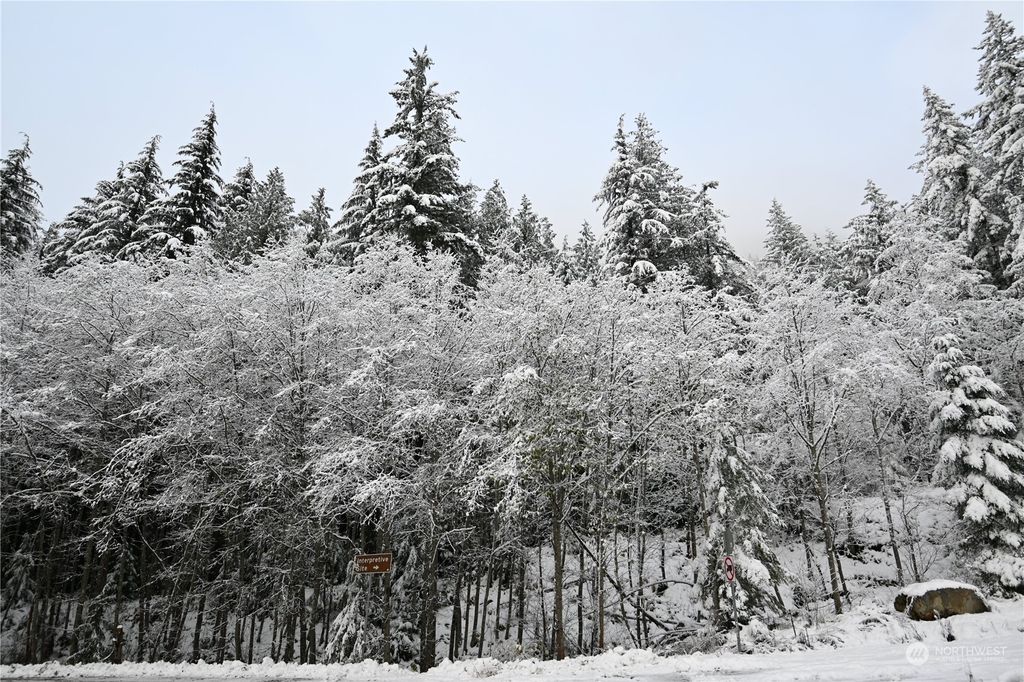 Photo of 87446 NE Old Cascade Highway, Skykomish, WA 98288 (MLS # 2311557)