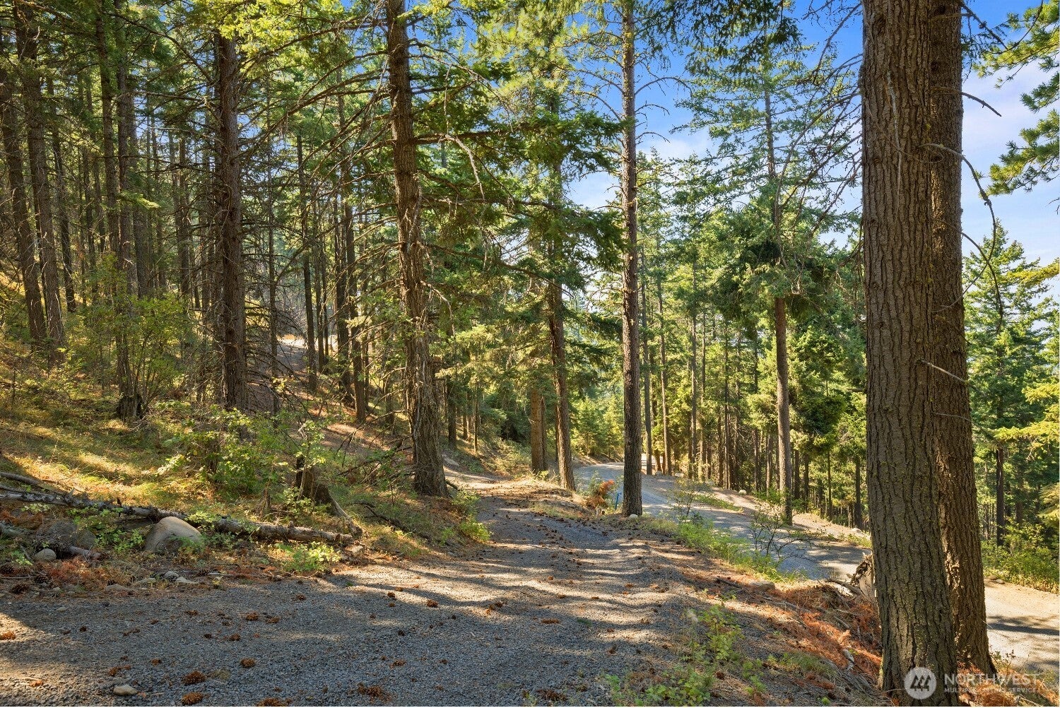 170 Pumphouse Hill Road