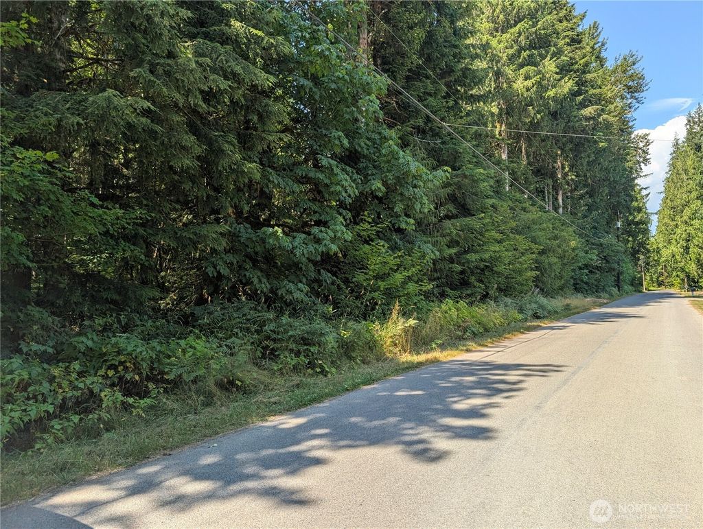 Photo of 0 Clear Creek Road, Darrington, WA 98241 (MLS # 2411575)