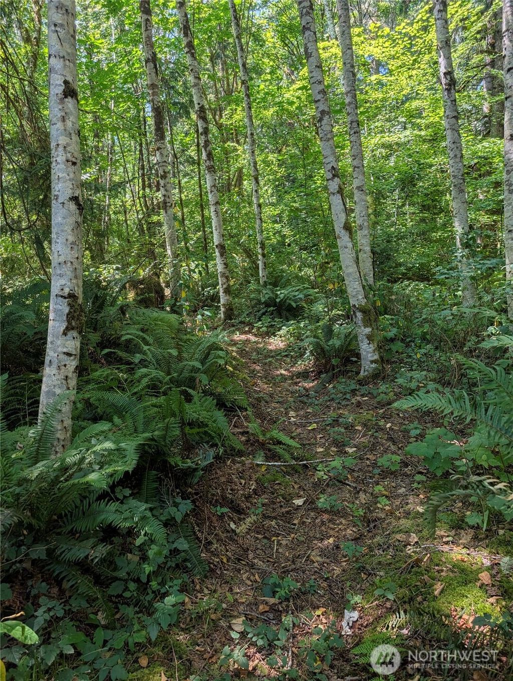 Photo of 0 Clear Creek Road, Darrington, WA 98241 (MLS # 2411575)