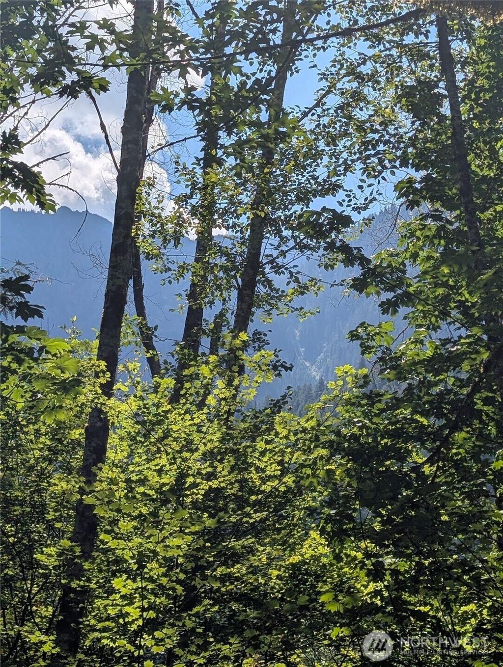 Photo of 0 Clear Creek Road, Darrington, WA 98241 (MLS # 2411575)