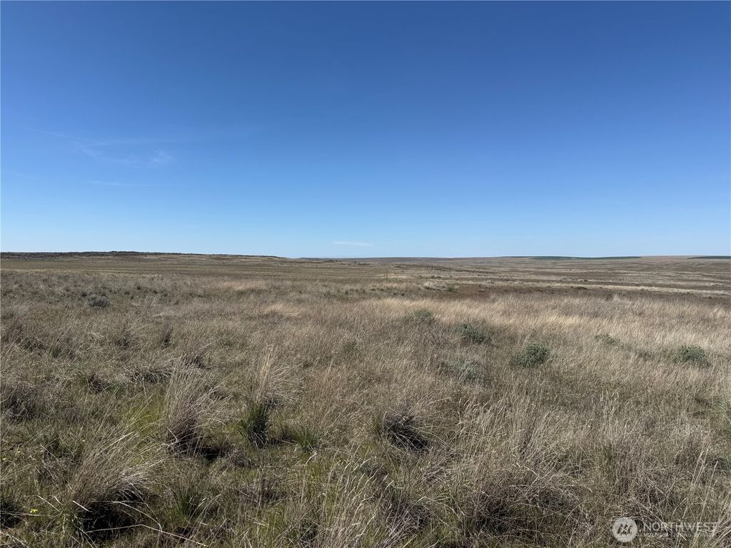 Photo of 0 Black Rock Road N, Odessa, WA 99159 (MLS # 2503384)