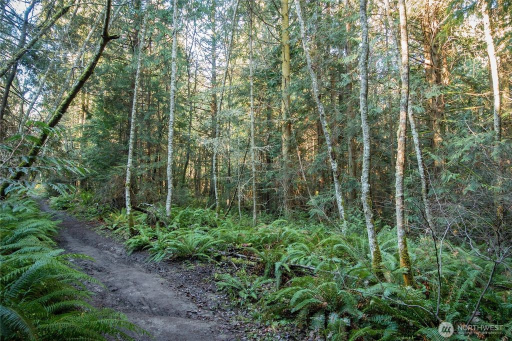 Photo of 9999 Umatilla Avenue, Port Townsend, WA 98368 (MLS # 2474881)