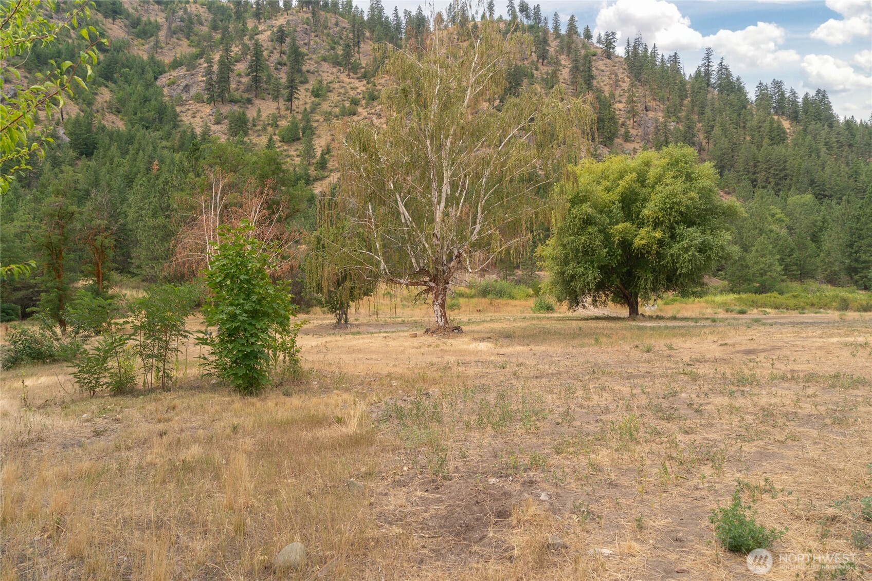 372 Mad Ranch Lane