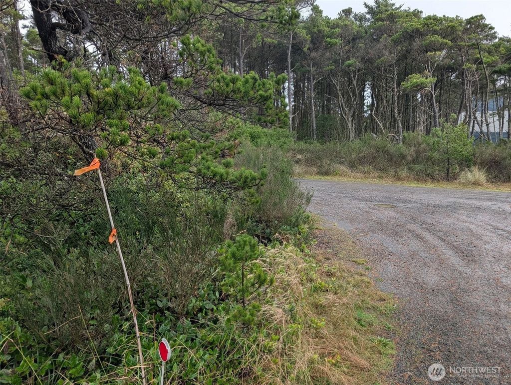 Photo of 5 Gold Street, Westport, WA 98595 (MLS # 2460652)