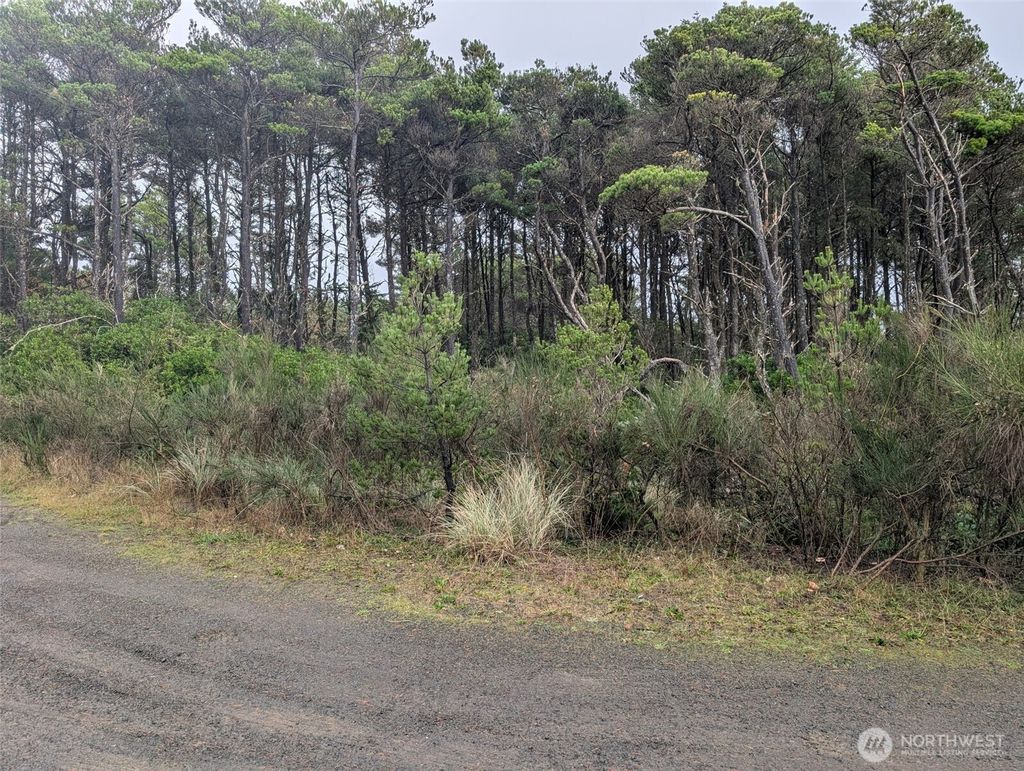 Photo of 5 Gold Street, Westport, WA 98595 (MLS # 2460652)